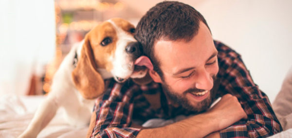 Mascotas perfectas para quienes viven en un departamento